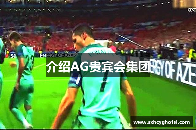 介绍AG贵宾会集团