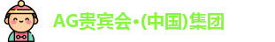 AG贵宾会集团
